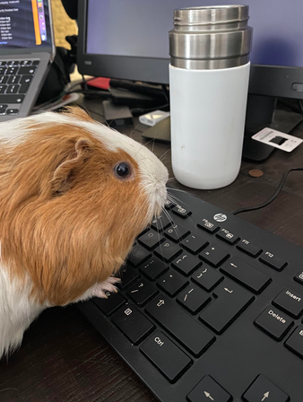 Neebles Corp